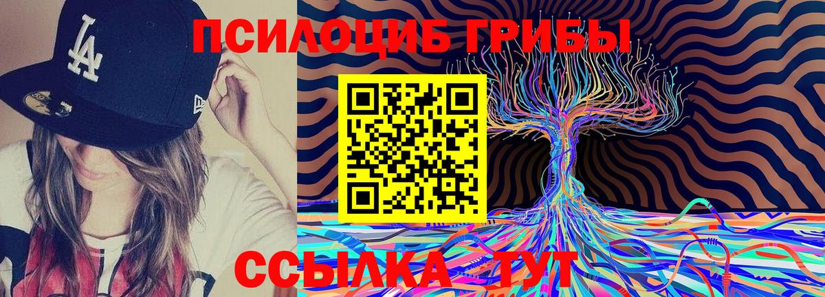 Галлюциногенные грибы Cubensis Арсеньев