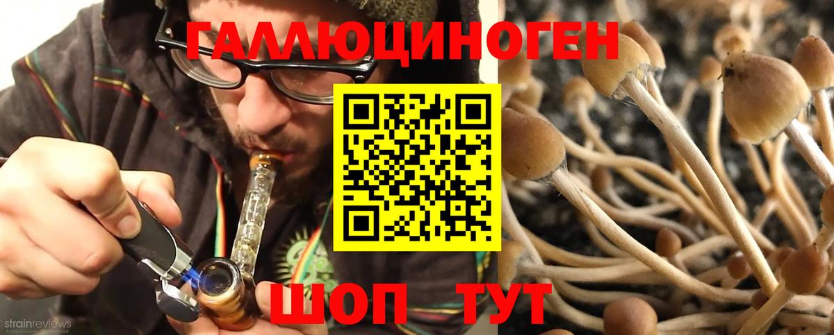 продажа наркотиков  Псилоцибиновые грибы MAGIC MUSHROOMS  Вход с VPN  Арсеньев 